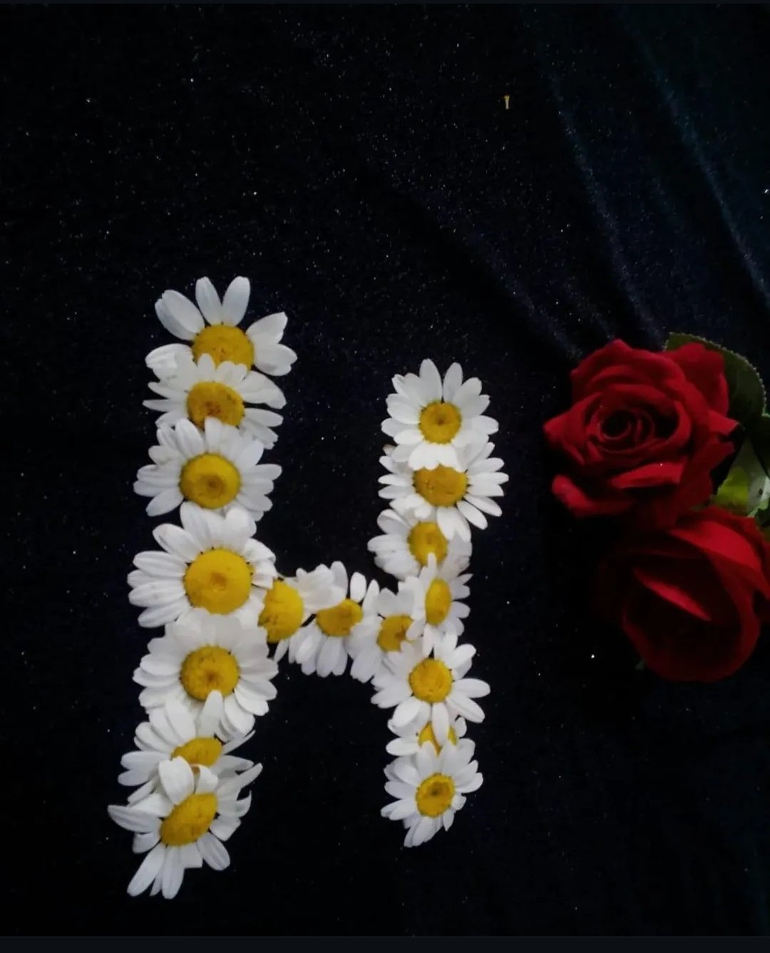 ali shaar - ذكر - 36 سنة - سوريا