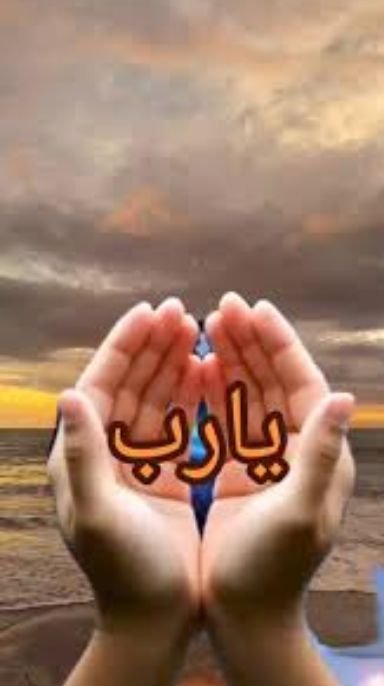 ابو زكرياء - ذكر - 40 سنة - السعودية