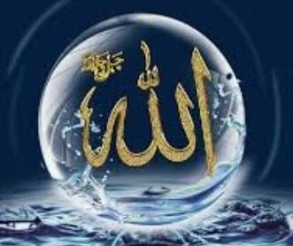 ابو علي - ذكر - 45 سنة - السعودية