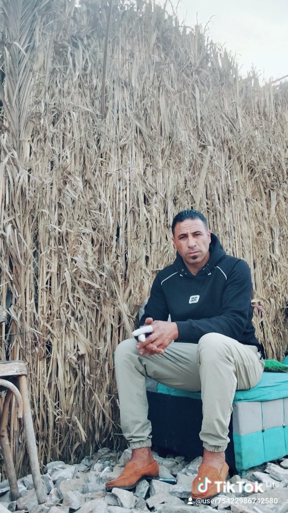 ابو حمو حمو الريس حمو الريس لتجاره السيارات - ذكر - 39 سنة - مصر