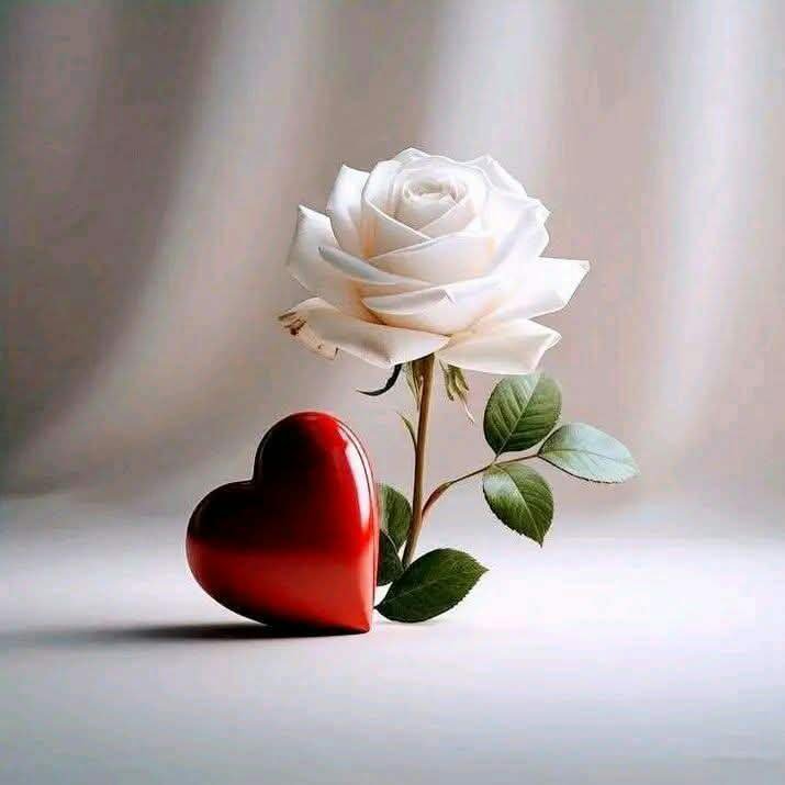 احمد - ذكر - 41 سنة - سوريا